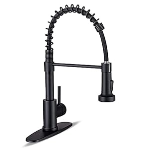 Kitchen Faucets with Pull Down Sprayer Commercial Industrial Stainless Steel Single Handle Single Hole Spring Farmhouse RV Sink Faucet, Matte Black Kitchen Faucet for Laundry Utility Room Sink