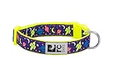 RC Pet Products 1' Fashionable, Functional, Fun, Clip Collar | Large, Outer Space