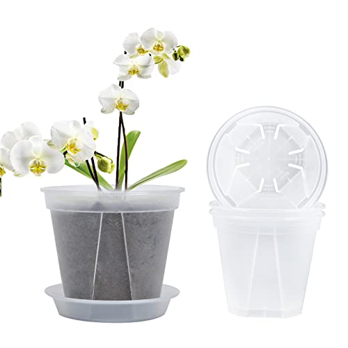 Tslbw 12 Pieza Maceta De Plástico Transparente Orquidea Maceta De Plástico Transparente Para Orquídeas Con Agujeros De Drenaje Para Balcón Interior Y Exterior