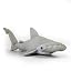 Hammerhead Shark