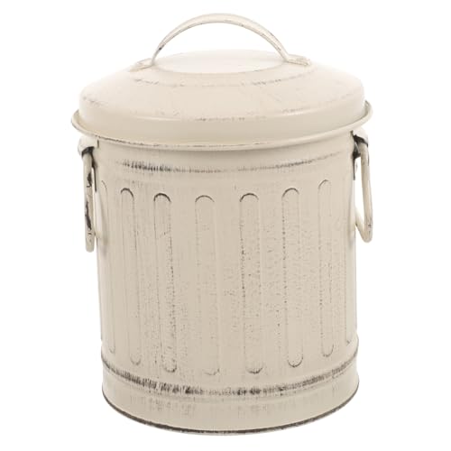 Sosoport Secchio Per Cenere in Ferro Zincato Coperchio e Maniglia Per Uso Domestico e Barbecue Per Interni e Giardino