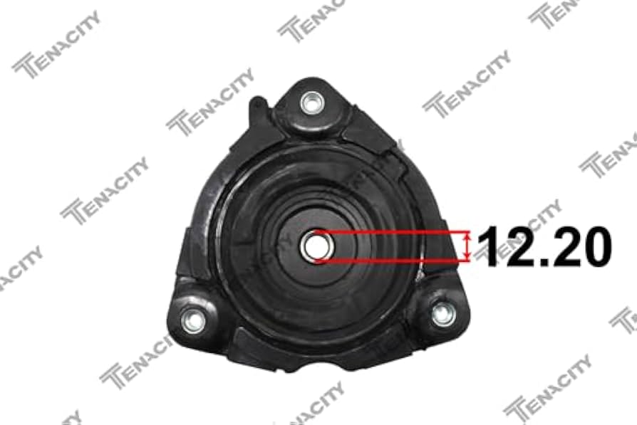 Amazon.com: TENACITY Strut Mount Set Front for Infiniti QX60