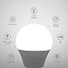 winshine LED Light Bulb A15, Candelabra Base 6W=60W Equivalent Globe Bulb .G45 E12 Base 6W Candle Light for Ceiling Fan, Chandelier Bulb, 6W Daylight Non Dimmable LED Base Bulb, 6 Pack. (5000K)
