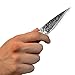 KAKURI Bonsai Grafting Knife 24mm, Razor Sharp Japanese Carbon Steel, Professional Grafting Tool for Garden Tree, Fruit Trees, Budding Plants, Single Bevel, Made in JAPAN