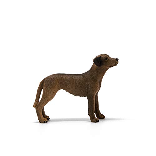 SCHLEICH 13895 Rhodesian Ridgeback, für Kinder ab 3+ Jahren, Farm World - Spielfigur
