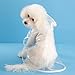 Syiyunran Regenjacken Hund Wasserdicht - White Trim, 1pc, Dog Raincoat für Hunde Mit Einem Gewicht Von 3,5-4,5kg, Regenjacken für Hunde Einfach zu Tragen, Winddicht und Regenfest Regencape