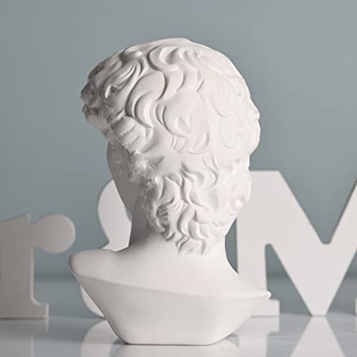 Xmgzq 6In David Statue Decor Greek Head Statue,Small Bust Greek Statue,Dark Light Academia Aesthetic Room Bookshelf Décor Mini White Roman Renaissance Statues (F) #TOP3