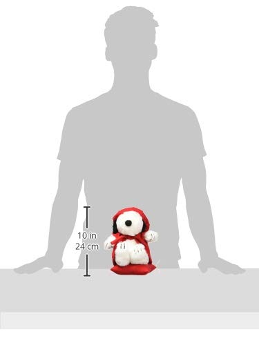 えっちゃん♡スヌーピーグッズ詰め合わせ Amazon.co.jp: 【ぬいぐるみ付き! 】☆還暦祝いに! 赤い