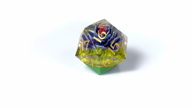 Amazon.com: Magic The Gathering: Black Lotus - 54mm Spindown d20