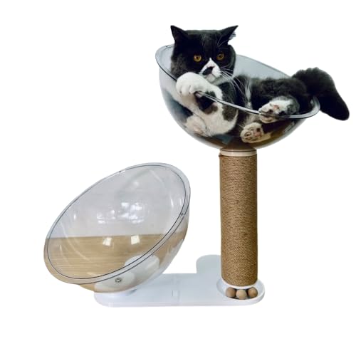 yFJvZ^ Lxbhzh[ LnEX ܂Ƃ|[t \ ʋCǍD  Op @\ ybgxbh MtgɂœK (B)