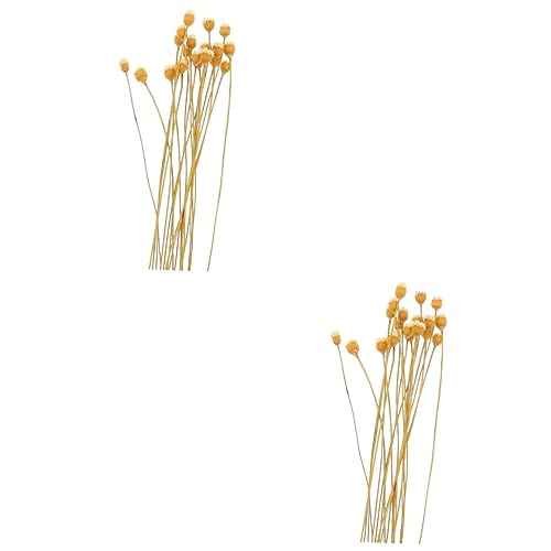 NOLITOY 40pcs Flower Diffuser Sticks for Rattan Inserts for Home Decor Fragrant Dry Flower Diffuser Accessories Chic and Unique Design for Spa and Relaxation