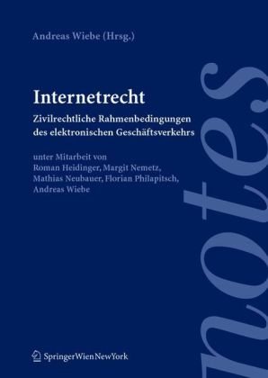 Internetrecht: Zivilrechtliche Rahmenbedingungen des elektronischen Geschaeftsverkehrs (Springer Notes Rechtswissenschaft)