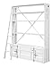 ACME Cargo Bookshelf & Ladder - - White