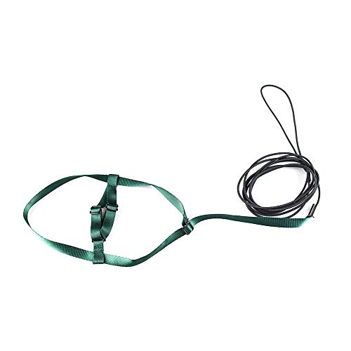ASOCEA Verstelbare papegaai vogel harnas riem anti-beet vliegende training touw huisdier outdoor tractie fit Budgerigar… - Image 4