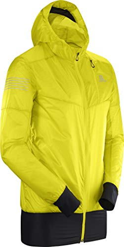 Image of Salomon FAST WING HYBRID Men