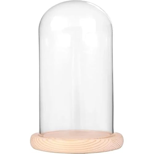 JUNENTER pKXh[ADIYXm[h[pKXh[AZ^[s[X NbVxW[ fBXvCP[X ؐx[X (ubNA9 x 20 cm)