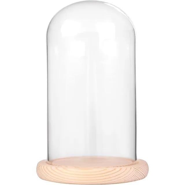 Cúpula de cristal decorativa para centros de mesa de boda y comedor