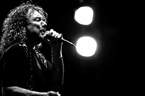 Toile Robert Plant Led Zeppelin : le cadeau idéal pour fan de rock et du Womad Festival