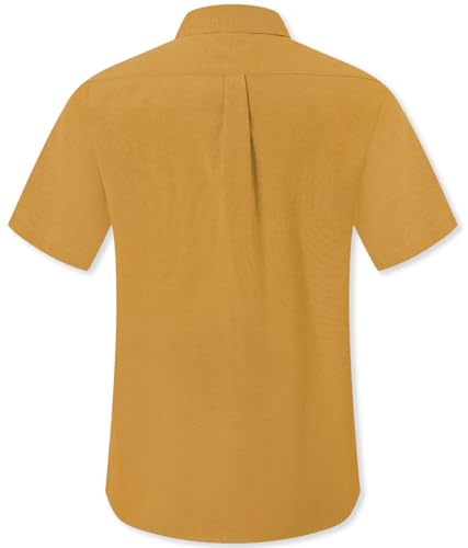 Image of SANGTREE Men & Boy Striped Multicolor Oxford Cotton Shirt,Comfortable Fit,Short Sleeve Collared Shirt