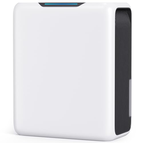 GOAMGE Deumidificatore 3000 ml, Silenzioso 30 dB, per Camera da Letto 20 m²