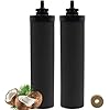 Water Filters Replacement for Berkey, 2 Pack Black Purification Elements for BB9-2 Gravity Filtration System