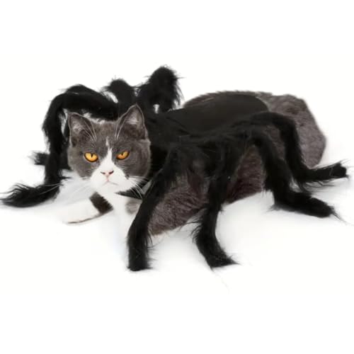 Fantasia para Cachorro e Gato Aranha - Halloween - Festas