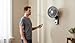 Imagen de M MI DEKOR Ventilador de Pared Aestus 75W Negro