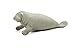 Safari Ltd Wild Safari Sea Life Manatee