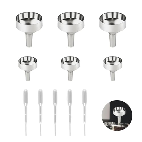 6 Pièces Mini Entonnoirs en Métal Kit, Petits Entonnoirs en Métal avec 5 Pipettes en Plastique 2ml, Petit Entonnoir à Parfum pour Bouteilles Miniatures, Cosmétiques, Huiles Essentielles(1.8cm+2.5cm)