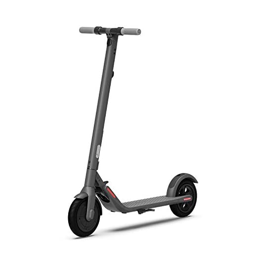 Segway Ninebot E22 Electric Kick Scooter, Lightweight and Foldable, Upgraded Motor Power, Dark Grey