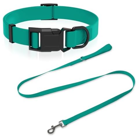 S Collar and 5ft Leash Set (Emerald Green) Cover