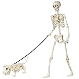 165cm Lebensgroße Posierbare Halloween Skelett, Realistische Skelettknochen mit Beweglichen Gelenken & Hundeskelett – Deko für Outdoor Halloween Gruselhaus, Friedhofszenerien Horror Themenpartys