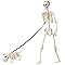 165cm Lebensgroße Posierbare Halloween Skelett, Realistische Skelettknochen mit Beweglichen Gelenken & Hundeskelett – Deko für Outdoor Halloween Gruselhaus, Friedhofszenerien Horror Themenpartys