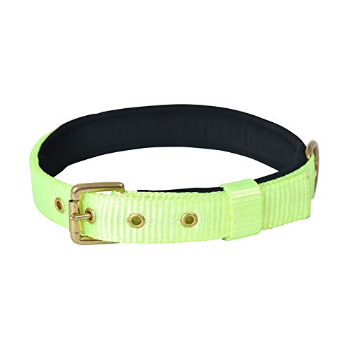 Forfurs Pin Buckle Dog Collar Neck Belt - Medium, Lime Green