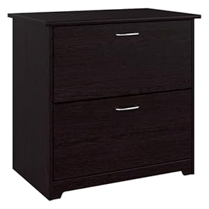 Bush Furniture Cabot 2 Drawer Lateral File Cabinet in Espresso Oak, Letter, Legal, and A4-size Document Storage for Home Office