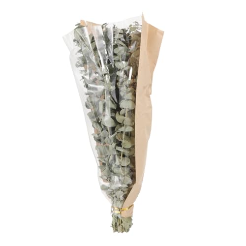 Ramo secado de lavanda y eucalipto para baño miniatura 7