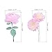 PATIKIL Transparent Flower Vinyl Stickers, 80 Sheet Waterproof PET Flowers Decals Floral Stickers for Scrapbook Journaling Crafts DIY Water Bottles, Light Pink