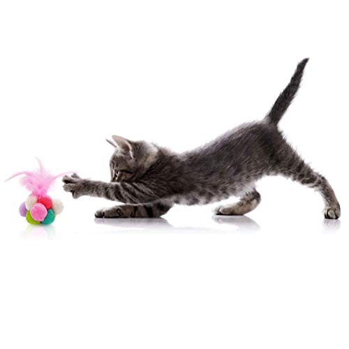 Jouet chat plume et herbe à chat pour moments de complicité - 7