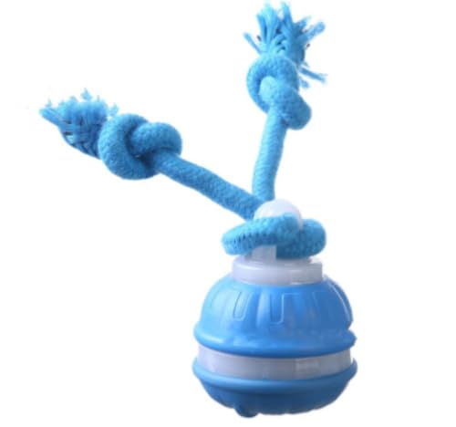 Tuyiutm ̓邨ACeWFgŊ݂ɂAbNXA^s̉AXgXA{\̎hA/Õg[jOAƂpA^/^/^ɓKĂ܂B (A)