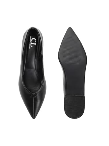 Image of Carlton London Women Comfortable Slipon Pump Shoes with Block Heels, Pointed Toe for Casual and Formal wear