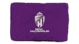 CyP Brands- Real Valladolid, Cama para Perro, Colchón, Cesto, Mascotas, Talla S, Color Morado, Producto Oficial