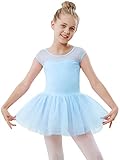 Stelle Ballet Leotards for Girls Toddler Leotard with Tutu Skirt Dance Tutu Dress (Blue,2-3T)