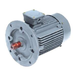 Trans Drive 1Hp 4 Pole 80B5 Frame Flange Mounted Induction Motor-image-2