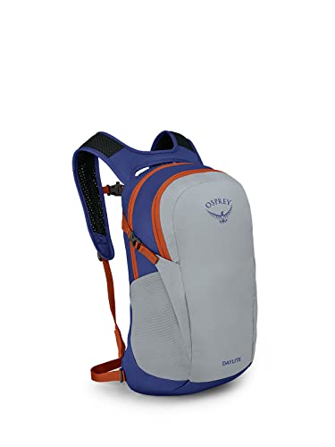 Osprey Europe Unisex Backpack, Silver Lining/Blueberry, One Size - Image 2