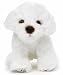 Teddys Rothenburg Kuscheltier Malteser weiß sitzend 13 cm Plüschhund Plüschtier