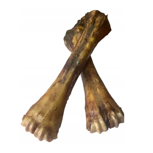 Hueso masticable de vacuno para perros – 25 – 30 cm – 1 pieza – Huesos para los pies – Huesos masticables perros grandes – Huesos de perro – Huesos de vacuno – Varillas secas – Calidad Lucze
