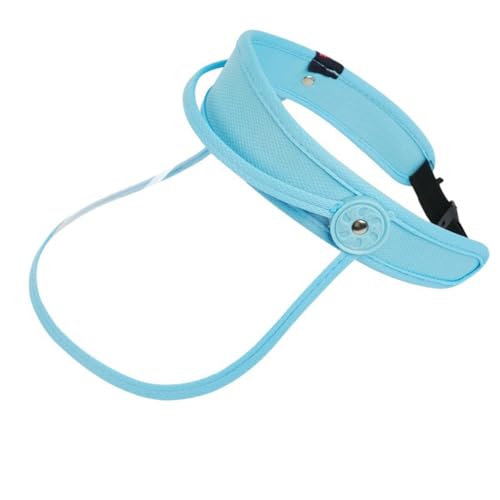 [Kingjinglo] yʒ\ȃtFCXV[hhhNA PC plOƕیJo[