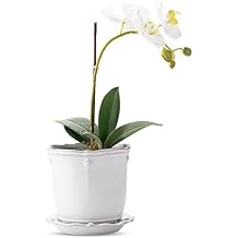 Juliska Berry & Thread Whitewash 5.25" Round Ceramic Planter & Saucer