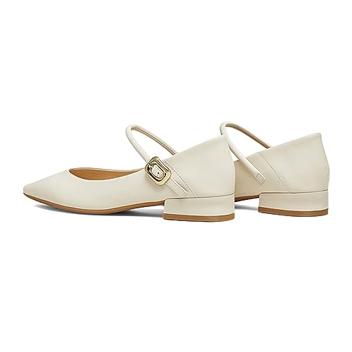 miss left Women Closed Pointed Toe Mary Jane Flat Ankle Strappy Low Chunky Heeled Comfy Dressy Party Work Shoes Size 4-16 US4