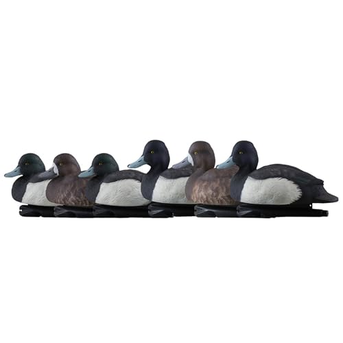 Avian-X Topflight Blue Bills